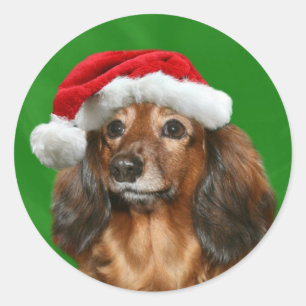 Dachshund Kerstmis Ronde Sticker