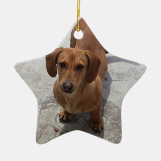 Dachshund-kerstsierster, aangepast aan keramisch ornament (Voorkant)