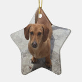 Dachshund-kerstsierster, aangepast aan keramisch ornament (Links)