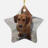 Dachshund-kerstsierster, aangepast aan keramisch ornament (Achterkant)