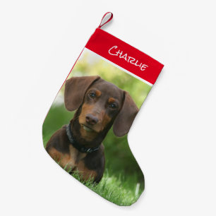 Dachshund kerststaart kleine kerstsok