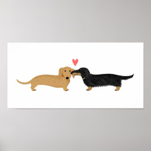Dachshund Kiss met hart Poster