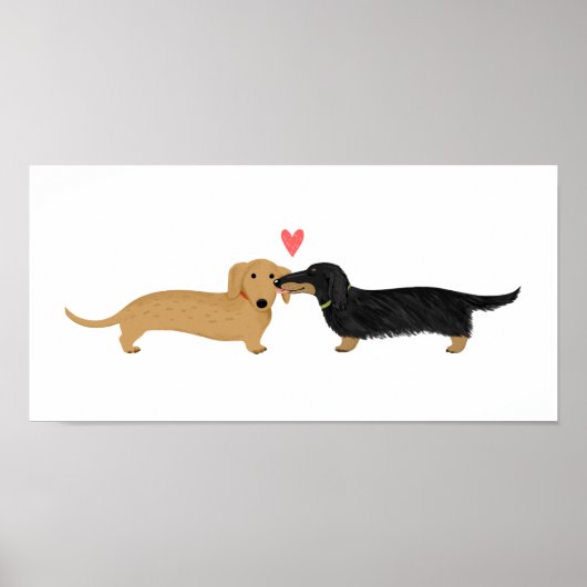 Dachshund Kiss met hart Poster (Voorkant)