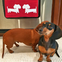 Dachshund Kitchen Dish Towel Waffle