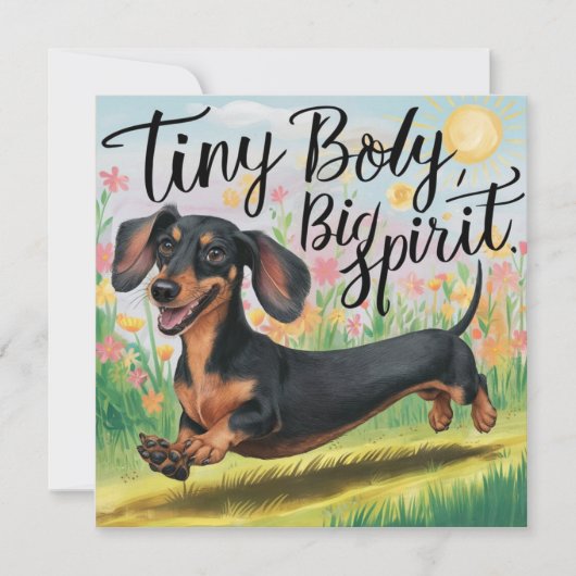 Dachshund Klein Lichaam, Grote Geest (Voorkant)