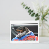 Dachshund, kleine dageraad. briefkaart (Staand voorkant)