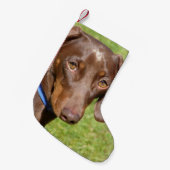 Dachshund Kleine Kerstsok (Voorkant (Hangend))