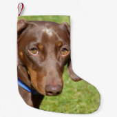 Dachshund Kleine Kerstsok (Voorkant)