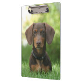 Dachshund Klembord (Links)