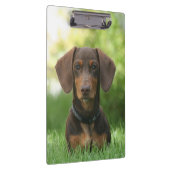 Dachshund Klembord (Rechts)