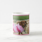 Dachshund Koffiemok (Center)