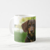 Dachshund Koffiemok (Voorkant links)