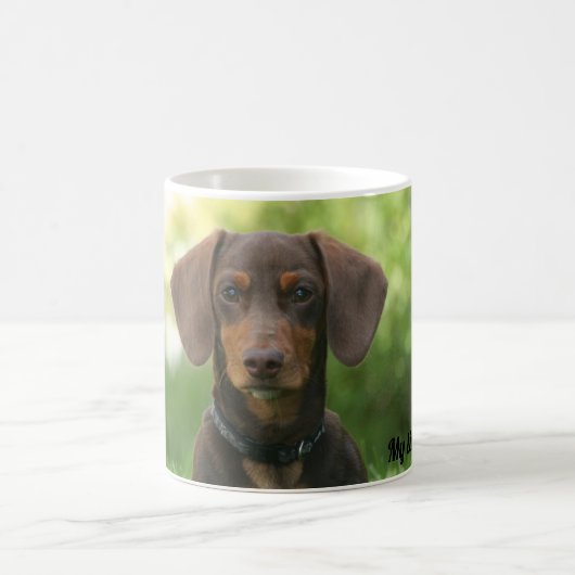 Dachshund Koffiemok (Center)