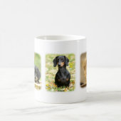 Dachshund Koffiemok (Center)