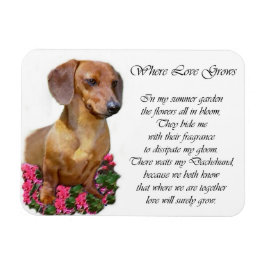 Dachshund Kunst Cadeaus Magneet