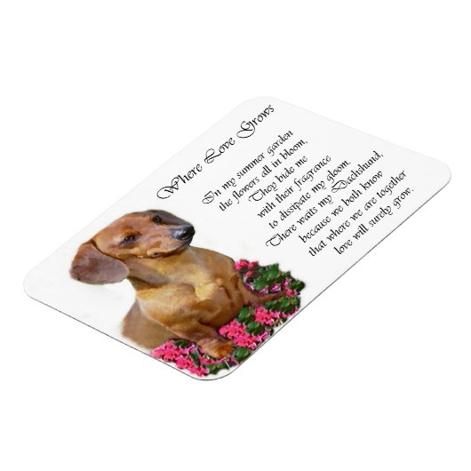 Dachshund Kunst Cadeaus Magneet (Linkerzijde)