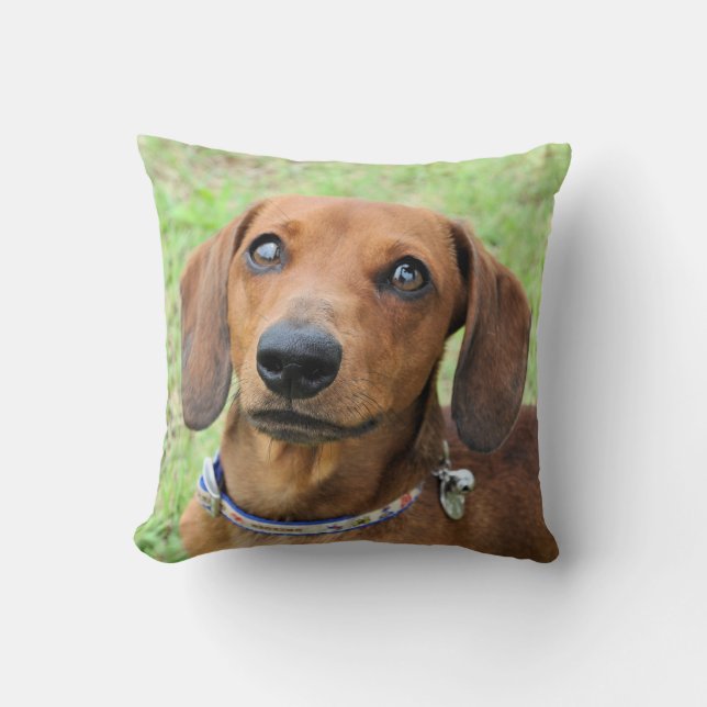 Dachshund Kussen (Voorkant)