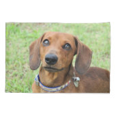 Dachshund Kussensloop (Achterkant)