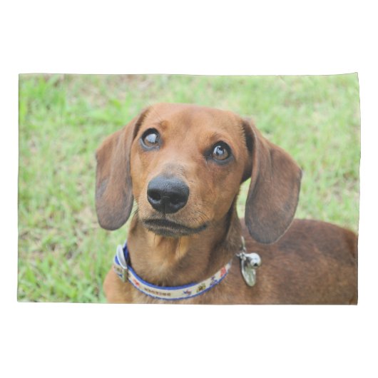 Dachshund Kussensloop (Achterkant)