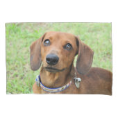 Dachshund Kussensloop (Voorkant)