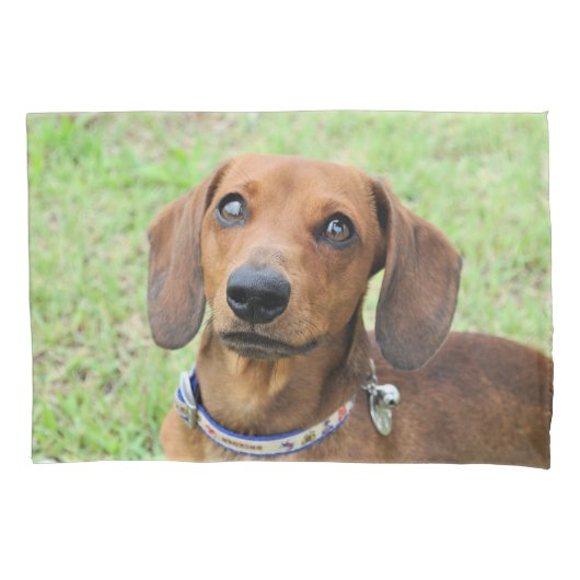 Dachshund Kussensloop (Voorkant)