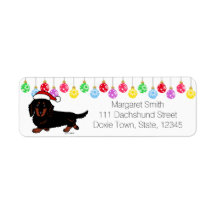 Dachshund Lang Haired Zwart en Tan Santa