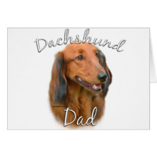 Dachshund (langharig) Papa 2