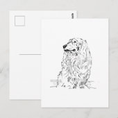 Dachshund – Langharige Saushond Briefkaart (Voorkant / Achterkant)