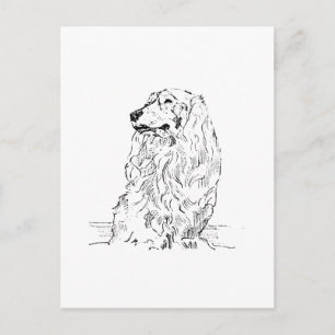 Dachshund – Langharige Saushond Briefkaart
