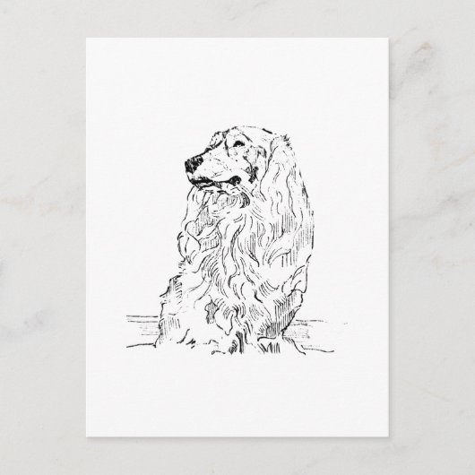 Dachshund – Langharige Saushond Briefkaart (Voorkant)