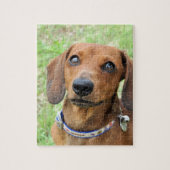 Dachshund Legpuzzel (Verticaal)