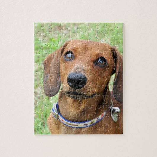 Dachshund Legpuzzel (Verticaal)