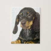 Dachshund Legpuzzel (Verticaal)