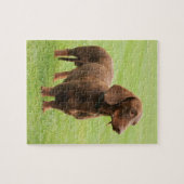 Dachshund Legpuzzel (Horizontaal)