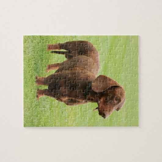 Dachshund Legpuzzel (Horizontaal)