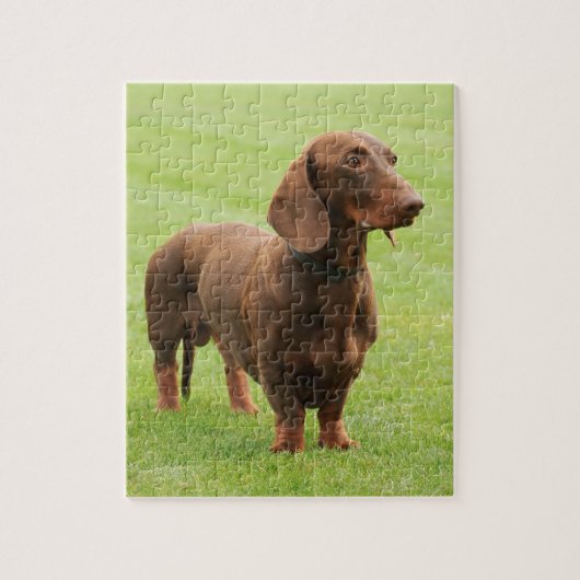 Dachshund Legpuzzel (Verticaal)