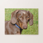 Dachshund Legpuzzel (Horizontaal)
