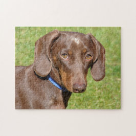 Dachshund Legpuzzel