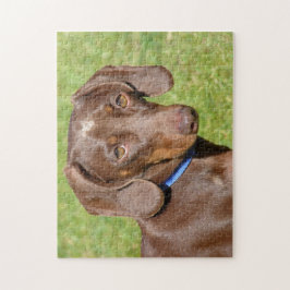 Dachshund Legpuzzel