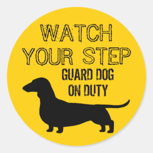 Dachshund Let Op Je Stap Grappig Ontwerp Ronde Sticker