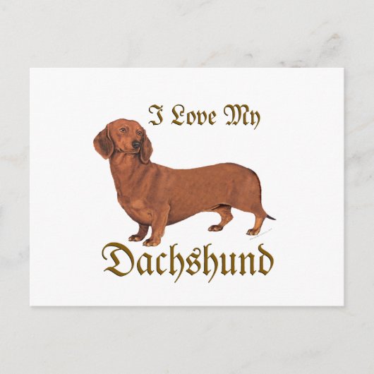Dachshund Liefde Briefkaart (Voorkant)