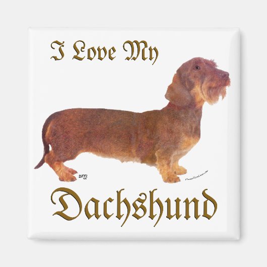 Dachshund Liefde Magneet (Voorkant)