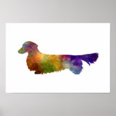 Dachshund Long Haired in watercolor-2 Poster (Voorkant)