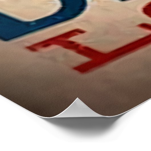 Dachshund Longboards Poster (Hoek)