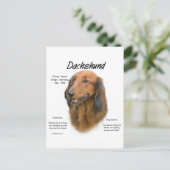 Dachshund (longhair) Geschiedenis Ontwerp Briefkaart (Staand voorkant)