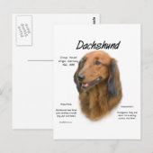 Dachshund (longhair) Geschiedenis Ontwerp Briefkaart (Voorkant / Achterkant)