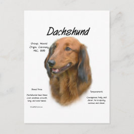 Dachshund (longhair) Geschiedenis Ontwerp Briefkaart