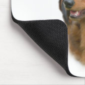 Dachshund (longhair) Geschiedenis Ontwerp Muismat (Hoek)