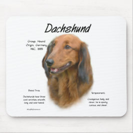 Dachshund (longhair) Geschiedenis Ontwerp Muismat
