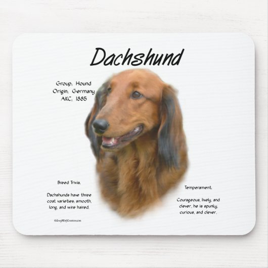 Dachshund (longhair) Geschiedenis Ontwerp Muismat (Voorkant)